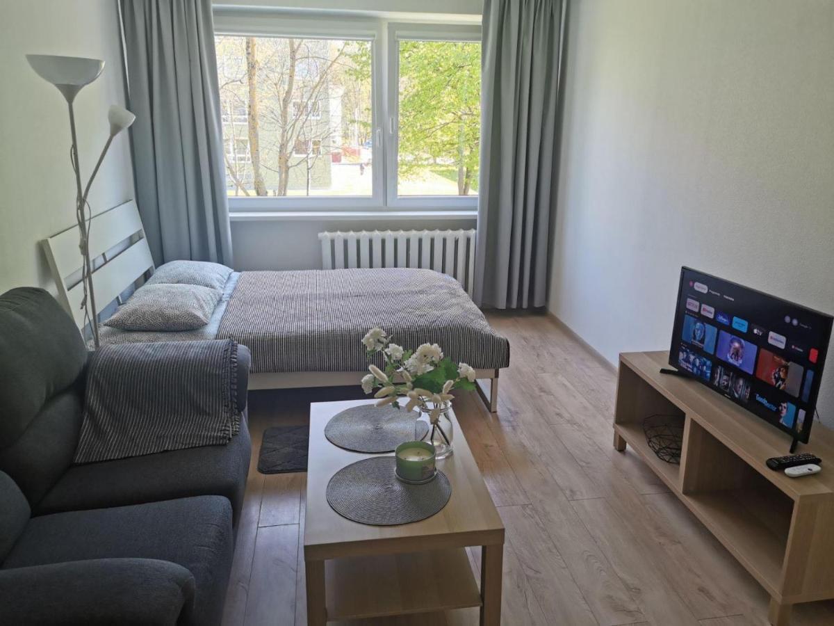 Modern Studio Debreceno, Self-Check-In, Free Parking Klaipėda Exterior foto